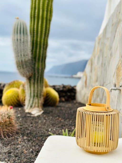 Beachfront Villa And Pool プエルト・デ・サンティアゴ エクステリア 写真